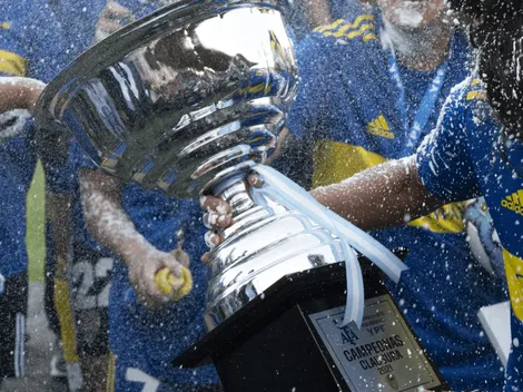 Así se jugará el próximo torneo de Primera