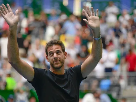 Del Potro y una confesión que nadie quería escuchar: "Va a ser más una despedida que una vuelta"
