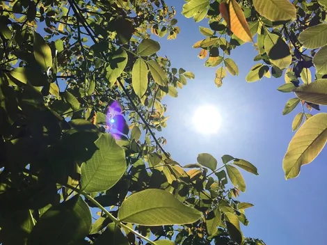 Ola de Calor: cuáles son las provincias que continúan en alerta roja por las altas temperaturas