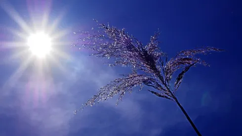 Ola de calor en Argentina