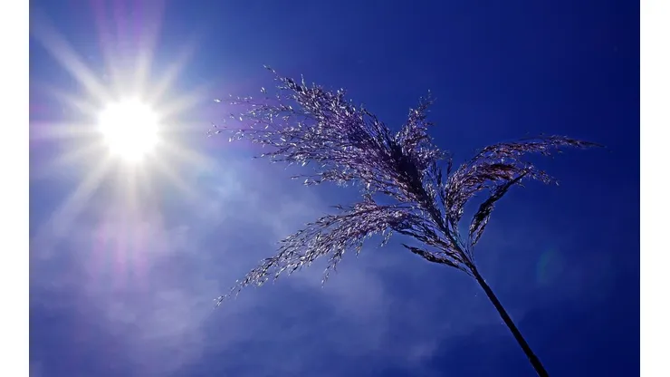 Ola de calor en Argentina