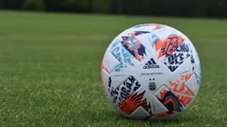 Comienzan las pretemporadas en la Liga Profesional (Foto: AFA).