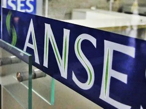 Anses: cobro del bono de $8000, tres pagos adicionales para AUH en enero 2022 y complemento actualizado para SUAF