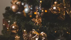 Cuánto cuesta armar tu árbol de Navidad (Foto: Pixabay)