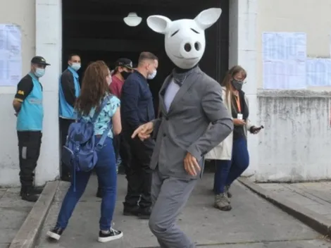 Insólito: el "Chancho blanco" que quiere meterse en el Congreso