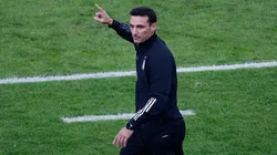 Lionel Scaloni, DT de la Selección Argentina (Foto: Getty Images)