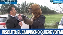 Insólito: el "hombre carpincho" fue a votar a Nordelta
