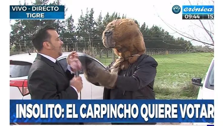 Insólito: el "hombre carpincho" fue a votar a Nordelta