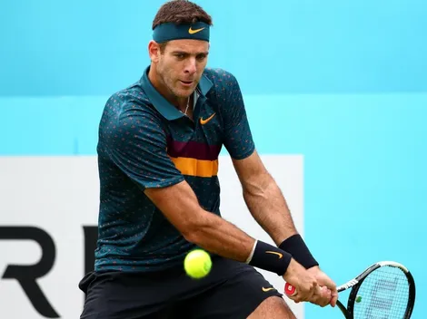 Cuándo volvería a jugar Juan Martín del Potro