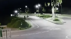 Video: un carpincho 'bajó' a un motociclista en Nordelta