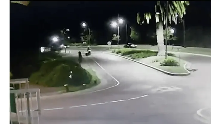 Video: un carpincho 'bajó' a un motociclista en Nordelta
