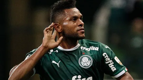 Miguel Borja, delantero del Palmeiras (Foto: Getty Images)