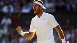 Juan Martín del Potro ilusionó a sus hinchas (Fuente: Getty Images)