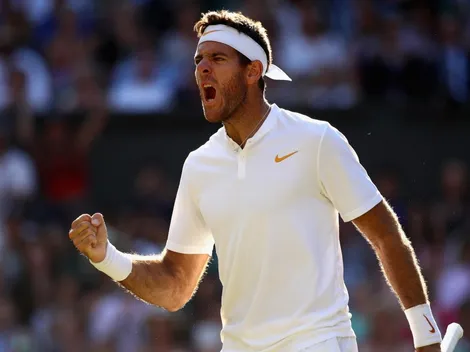 El mensaje de Juan Martín del Potro en las redes que conmovió a los hinchas del tenis