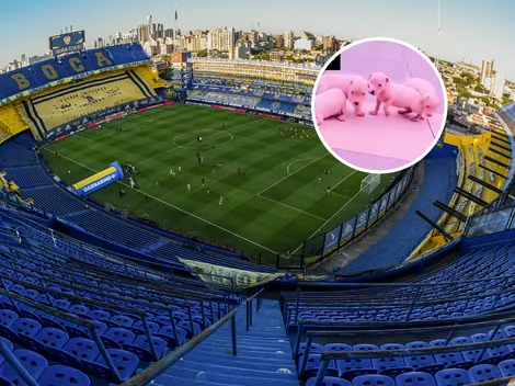 Está loco: un exjugador extranjero le puso el nombre de seis ex-Boca a sus perros