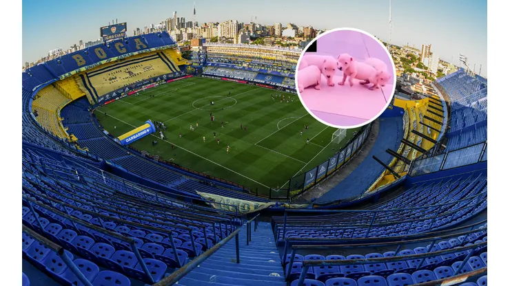 Está loco: un exjugador extranjero le puso el nombre de seis ex-Boca a sus perros