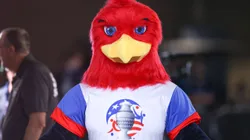 Los norteamericanos eligieron un águila, que tiene un gran simbolismo en aquel país.