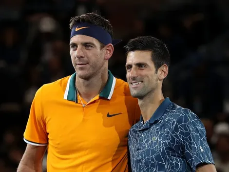 Sorpresa total: Del Potro y Djokovic jugarían una exhibición en Argentina