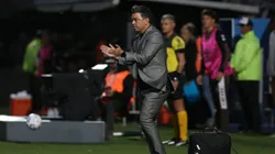Marcelo Gallardo, entrenador de River.