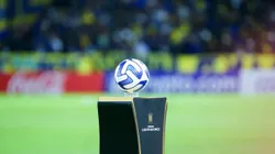 UNAR Photo / Alamy Stock Photo