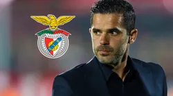 Benfica pierde dos titulares para el Mundial de Clubes