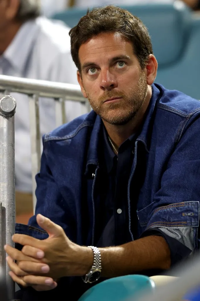 Juan Martín Del Potro vio el partido de Nole junto a Andy Murray. (Foto: Getty).