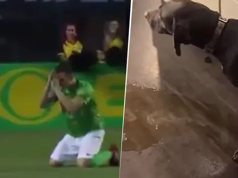 Los mejores memes de la derrota de Boca ante Bayern Múnich por el Mundial de Clubes