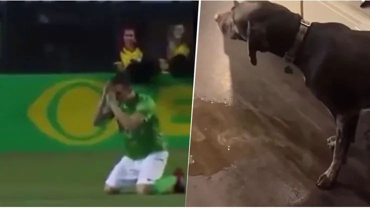 Los mejores memes de la derrota de Boca ante Bayern Múnich por el Mundial de Clubes