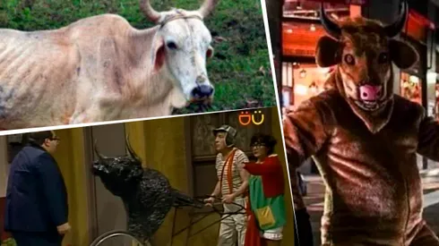 Con Guillermo como protagonista, los mejores memes de la victoria de Racing sobre Vélez