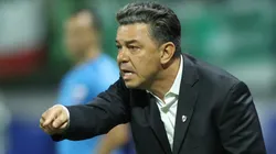 Marcelo Gallardo, entrenador de River.