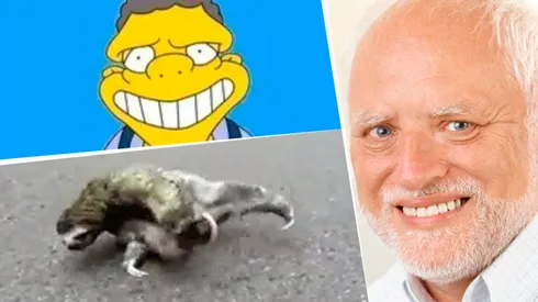 Los hinchas compartieron una gran cantidad de memes.