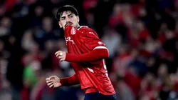 Un año negativo para el Rojo