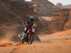 Los resultados de los argentinos en la Etapa 5 del Rally Dakar 2026: gran triunfo de Benavides en motos