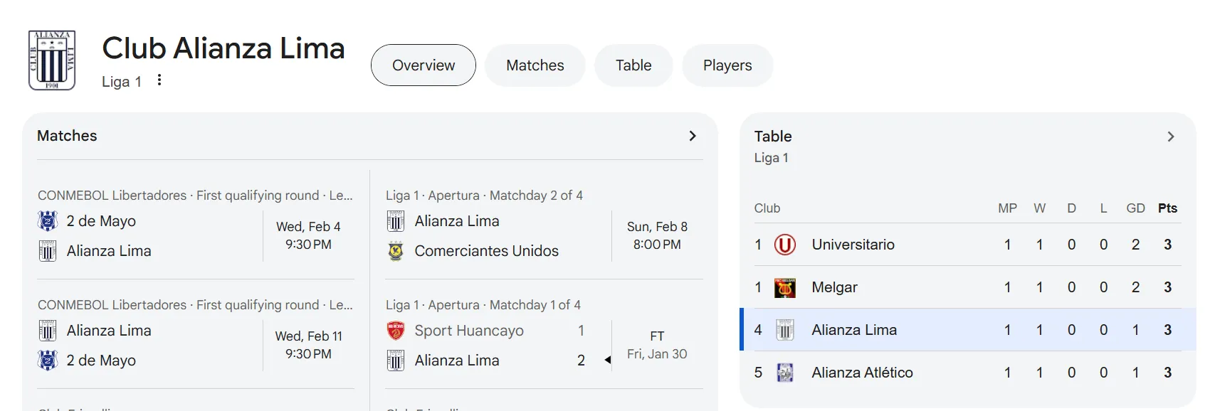 Lo que Google muestra habitualmente de cada club (Captura Google).