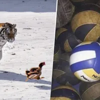 Los mejores memes de la histórica goleada de Tigre a River por el Torneo Apertura