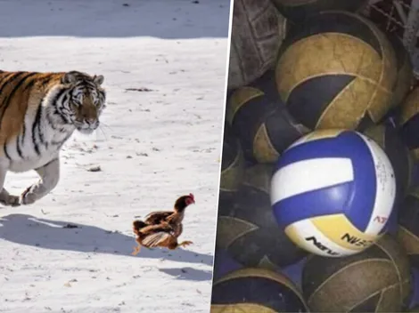 Los mejores memes de la histórica goleada de Tigre a River por el Torneo Apertura