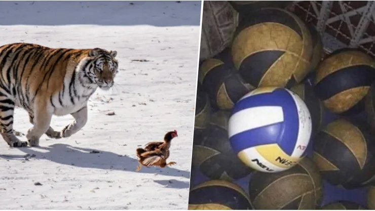 Los memes de la goleada de Tigre ante River.