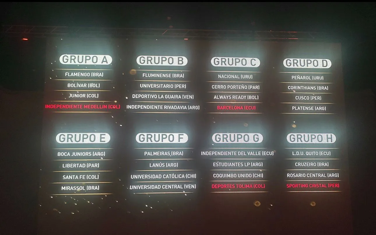 Los grupos que se formaron a través del simulacro.