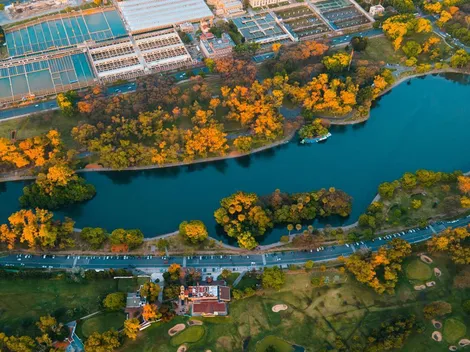El circuito urbano que existió en 1950 en Buenos Aires para Formula 1 y que casi nadie conoce