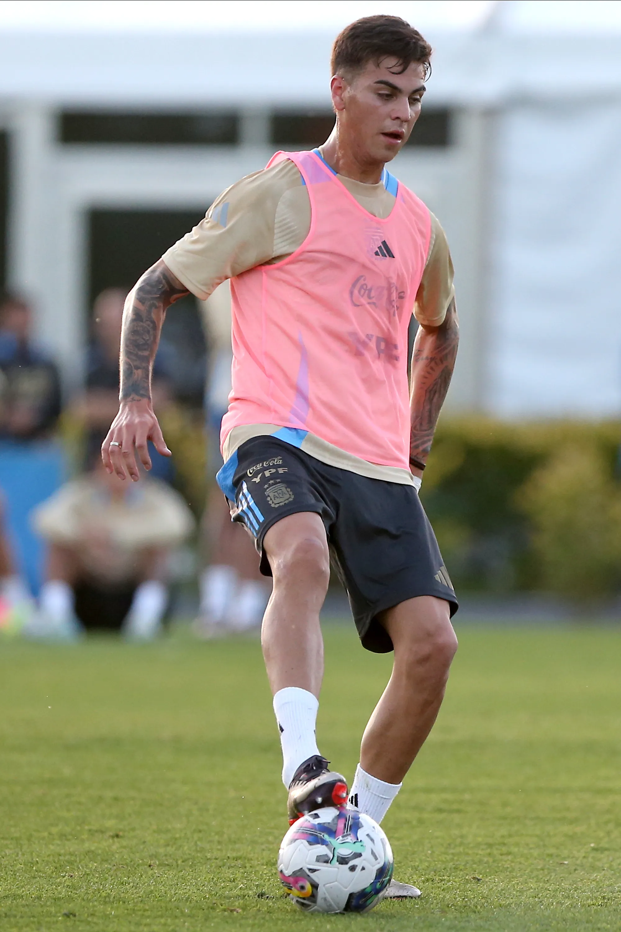 Enzo Barrenechea
