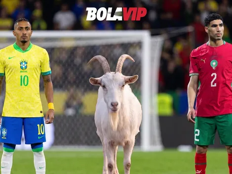 La Cabra de Bolavip sorprendió con su predicción de Brasil vs. Marruecos