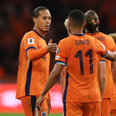 Pronósticos Túnez vs Países Bajos: la Naranja Mecánica va por un buen cierre de grupos