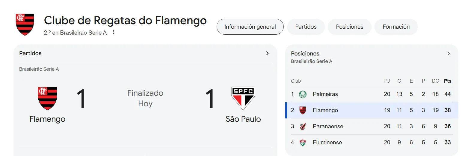Al buscar por Flamengo, se desglosa la información actualizada del equipo.