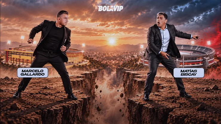 Separación de Marcelo Gallardo y Matías Biscay.