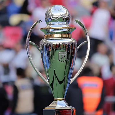 Nuevo formato en el fútbol argentino para 2027