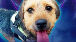 Bigote, de Gran Hermano.