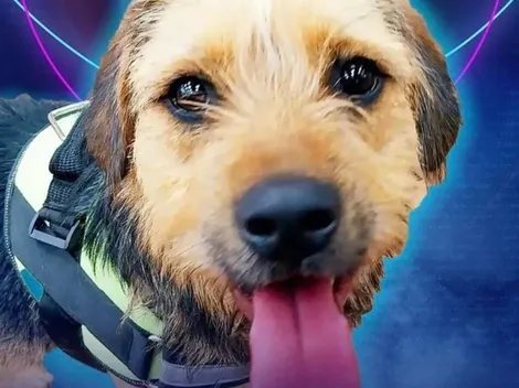 Gran Hermano: Fundación que entregó a Bigote reacciona ante ataques