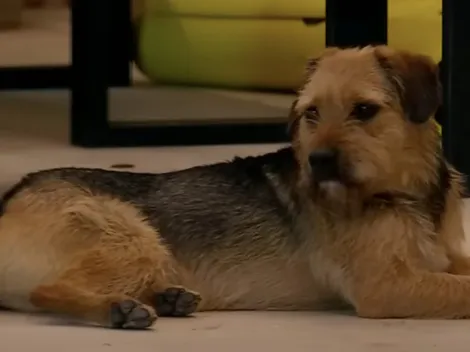 Gran Hermano: ¿Cómo está Bigote?