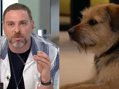 Neme por maltrato a Bigote en Gran Hermano: "Espantoso"