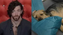 Lucas y Bigotes en Gran Hermano.